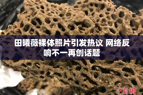 田曦薇裸体照片引发热议 网络反响不一再创话题