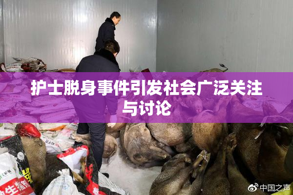 护士脱身事件引发社会广泛关注与讨论