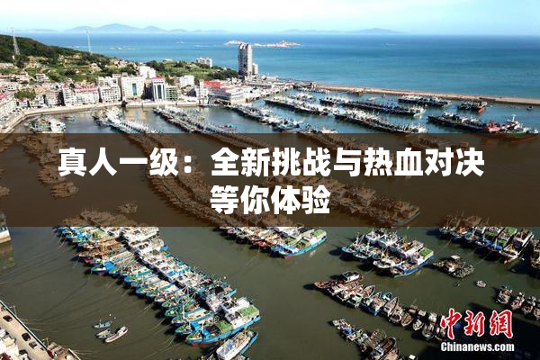 真人一级：全新挑战与热血对决等你体验