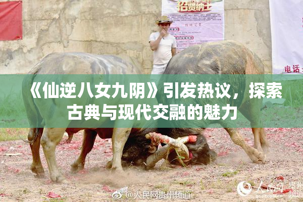 《仙逆八女九阴》引发热议，探索古典与现代交融的魅力