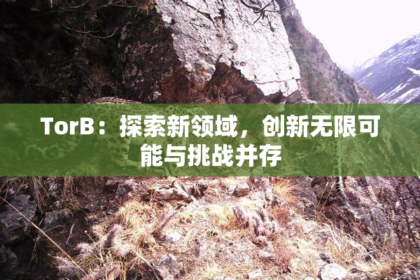 TorB：探索新领域，创新无限可能与挑战并存
