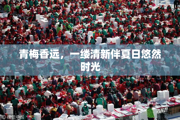 青梅香远，一缕清新伴夏日悠然时光
