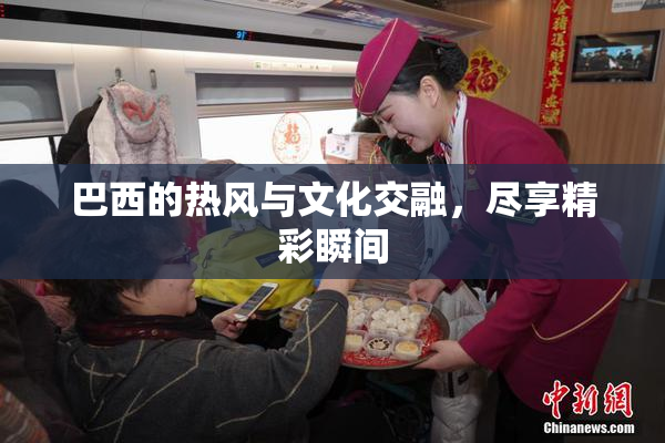 巴西的热风与文化交融，尽享精彩瞬间