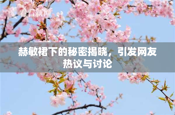赫敏裙下的秘密揭晓，引发网友热议与讨论