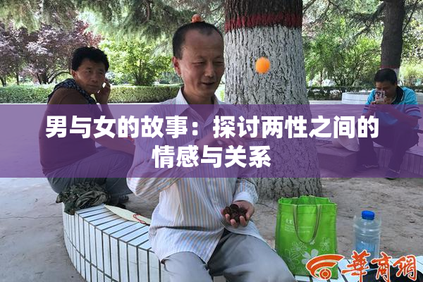 男与女的故事：探讨两性之间的情感与关系