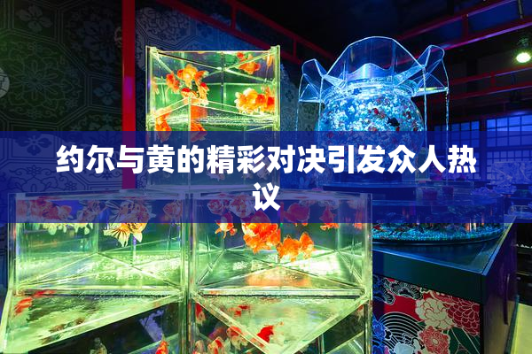 约尔与黄的精彩对决引发众人热议