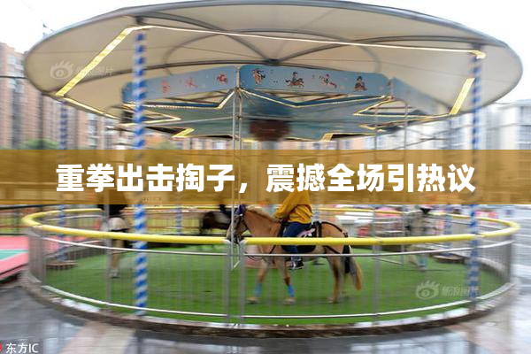 重拳出击掏子，震撼全场引热议