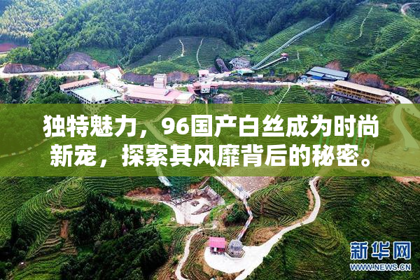 独特魅力，96国产白丝成为时尚新宠，探索其风靡背后的秘密。