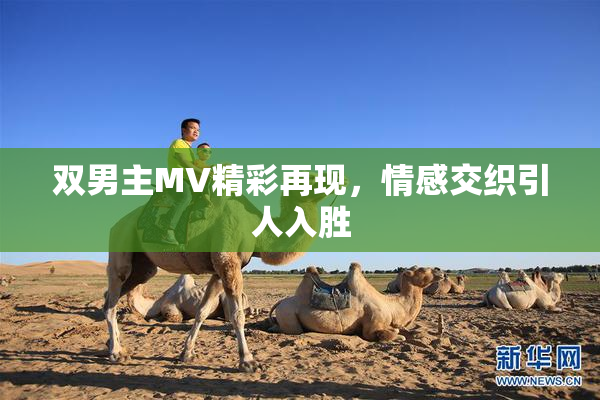 双男主MV精彩再现，情感交织引人入胜