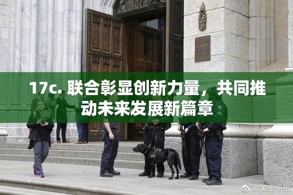 17c. 联合彰显创新力量，共同推动未来发展新篇章