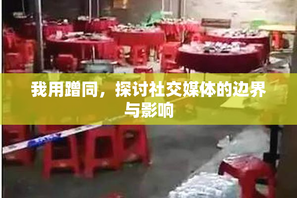 我用蹭同，探讨社交媒体的边界与影响