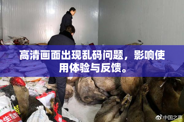 高清画面出现乱码问题，影响使用体验与反馈。