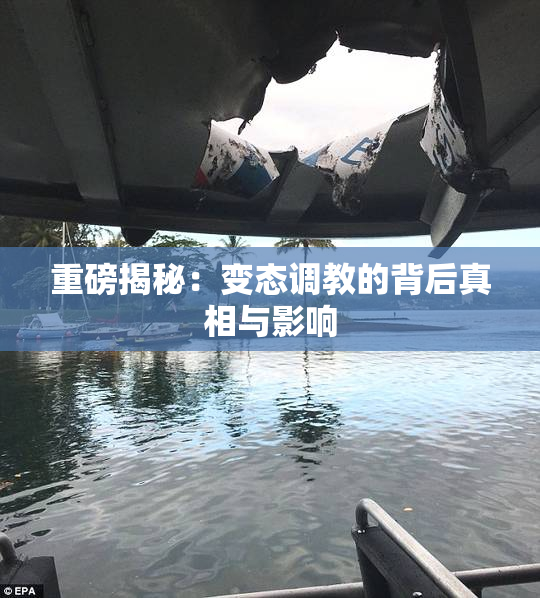 重磅揭秘：变态调教的背后真相与影响