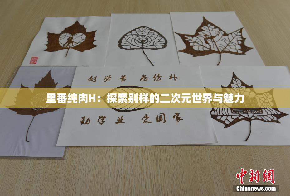 里番纯肉H：探索别样的二次元世界与魅力