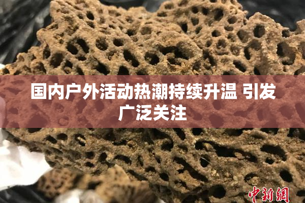 国内户外活动热潮持续升温 引发广泛关注