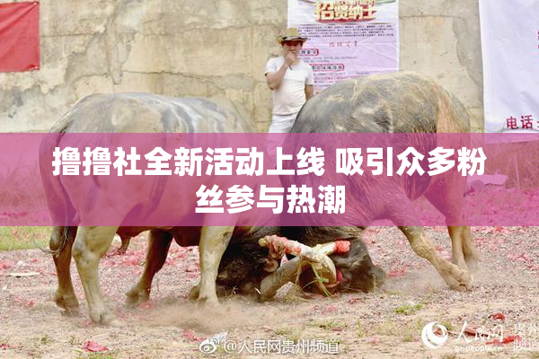 撸撸社全新活动上线 吸引众多粉丝参与热潮