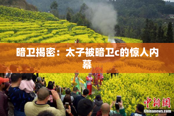 暗卫揭密：太子被暗卫c的惊人内幕