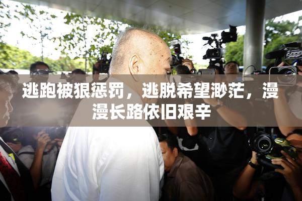 逃跑被狠惩罚，逃脱希望渺茫，漫漫长路依旧艰辛