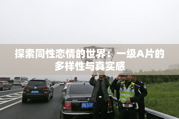 探索同性恋情的世界：一级A片的多样性与真实感