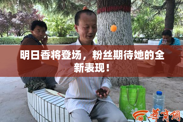 明日香将登场，粉丝期待她的全新表现！