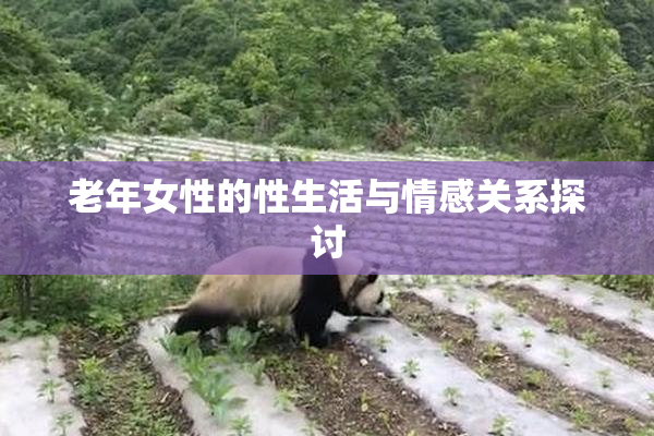 老年女性的性生活与情感关系探讨