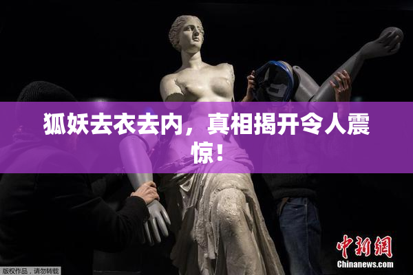 狐妖去衣去内，真相揭开令人震惊！