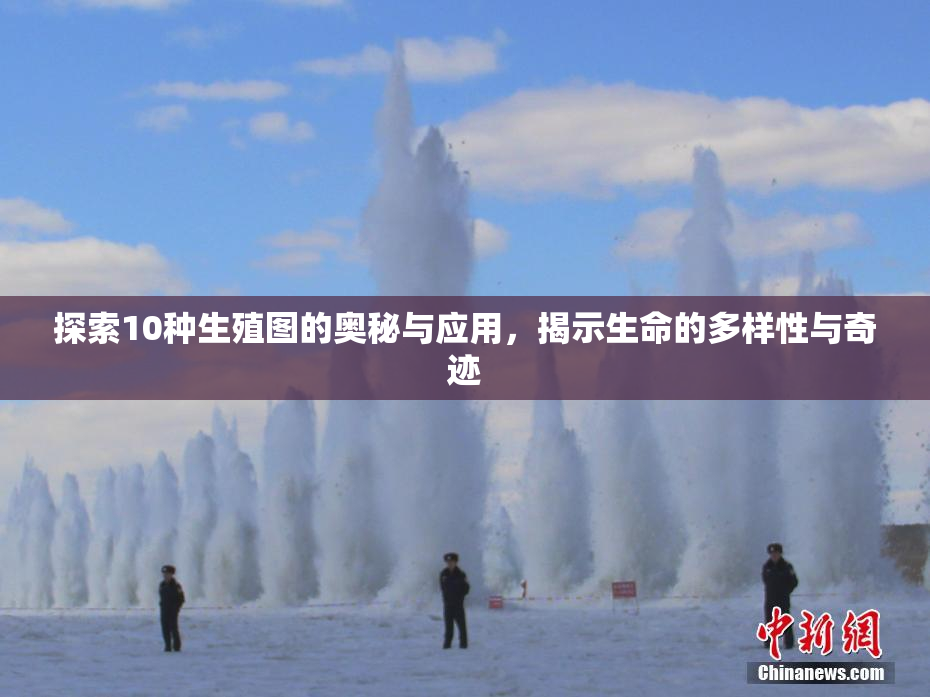 探索10种生殖图的奥秘与应用，揭示生命的多样性与奇迹