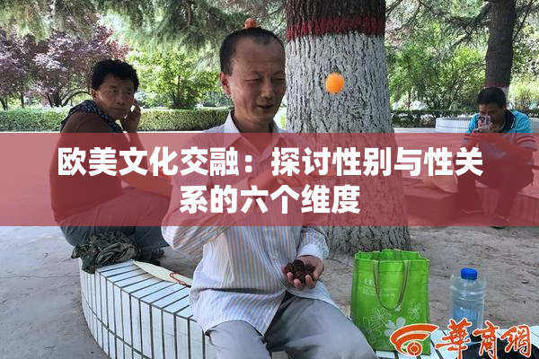 欧美文化交融：探讨性别与性关系的六个维度