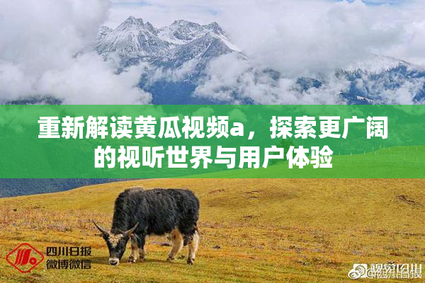 重新解读黄瓜视频a，探索更广阔的视听世界与用户体验