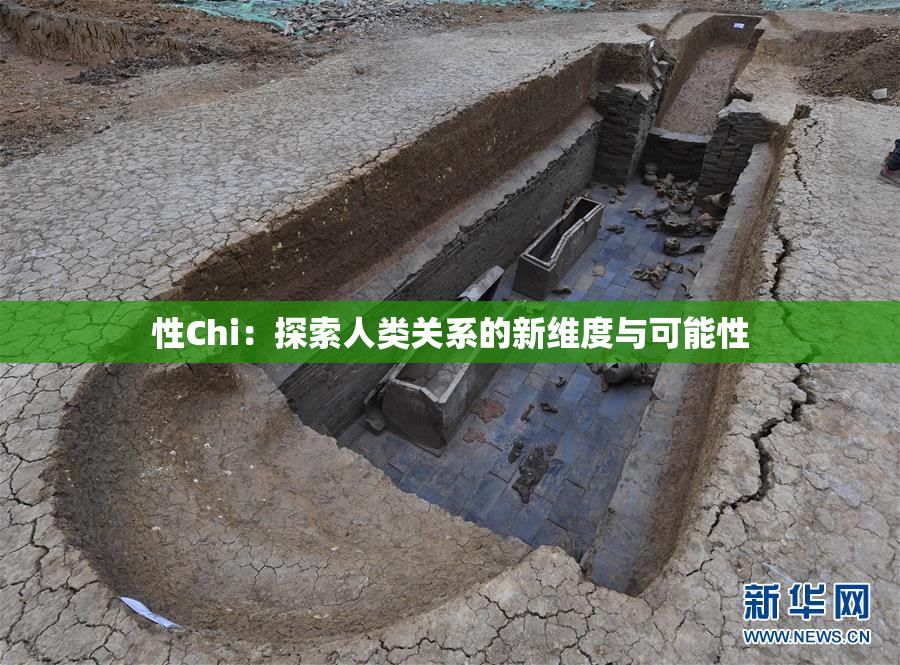 性Chi：探索人类关系的新维度与可能性