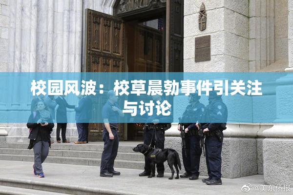 校园风波：校草晨勃事件引关注与讨论