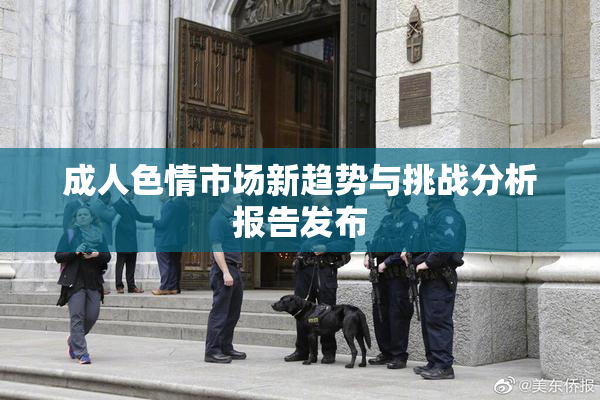 成人色情市场新趋势与挑战分析报告发布