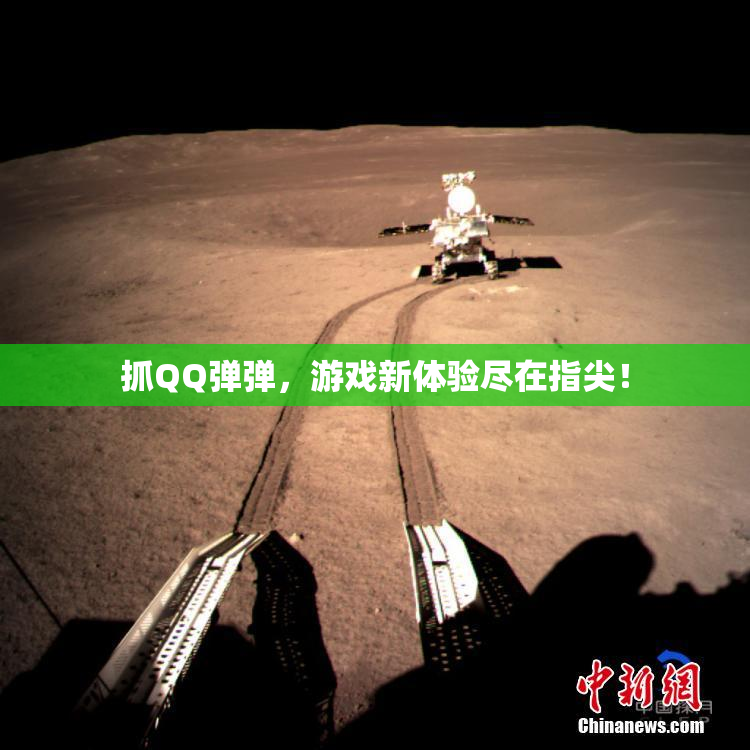 抓QQ弹弹，游戏新体验尽在指尖！