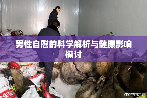 男性自慰的科学解析与健康影响探讨