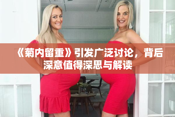 《菊内留重》引发广泛讨论，背后深意值得深思与解读