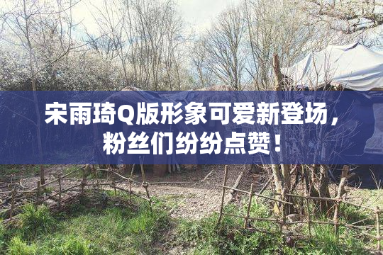 宋雨琦Q版形象可爱新登场，粉丝们纷纷点赞！