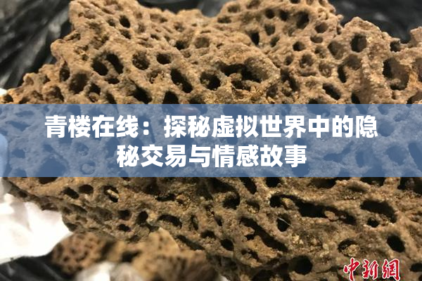 青楼在线：探秘虚拟世界中的隐秘交易与情感故事