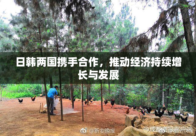 日韩两国携手合作，推动经济持续增长与发展