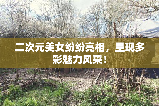 二次元美女纷纷亮相，呈现多彩魅力风采！