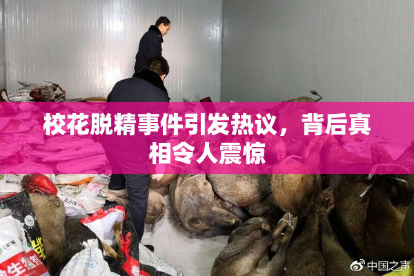 校花脱精事件引发热议，背后真相令人震惊