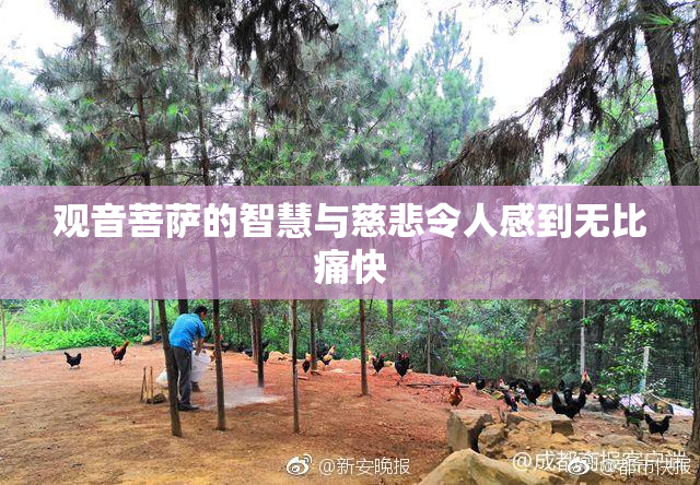 观音菩萨的智慧与慈悲令人感到无比痛快
