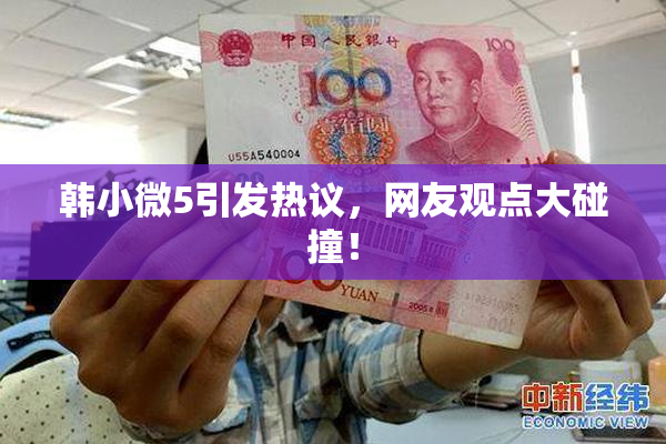 韩小微5引发热议，网友观点大碰撞！