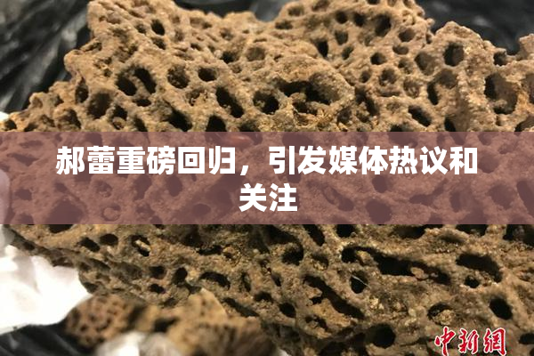 郝蕾重磅回归，引发媒体热议和关注