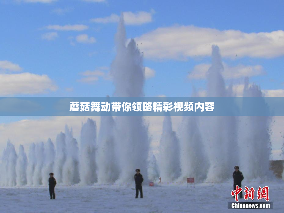 蘑菇舞动带你领略精彩视频内容