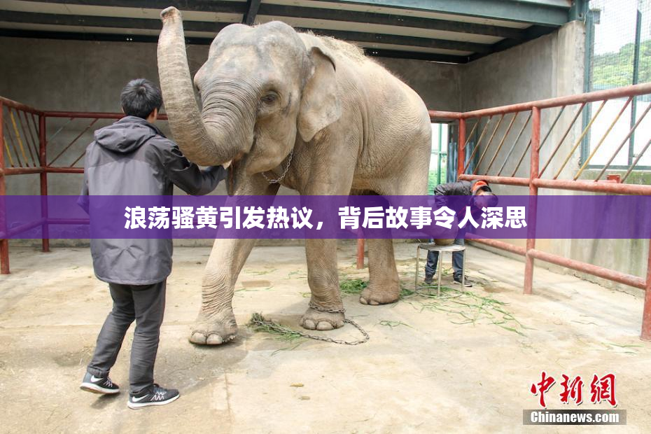 浪荡骚黄引发热议，背后故事令人深思