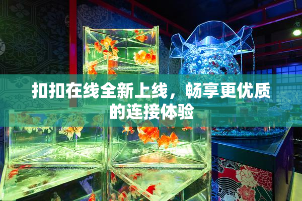 扣扣在线全新上线，畅享更优质的连接体验