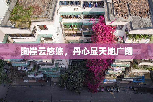 胸襟云悠悠，丹心显天地广阔