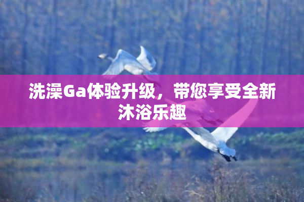 洗澡Ga体验升级，带您享受全新沐浴乐趣