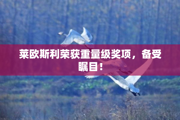 莱欧斯利荣获重量级奖项，备受瞩目！