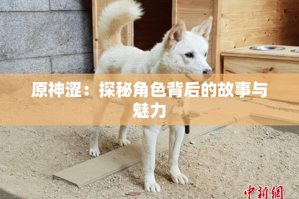 原神涩：探秘角色背后的故事与魅力